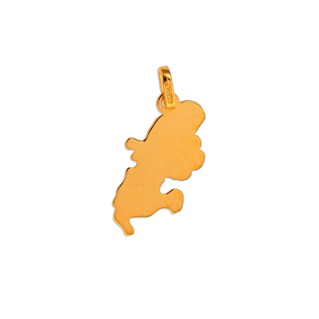 Pendentif Or375 Carte Martinique Hibiscus Email Orange avec Bélière - Pendentifs | Créolissime